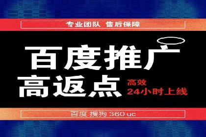 推广竞价策略解析：成功案例分享